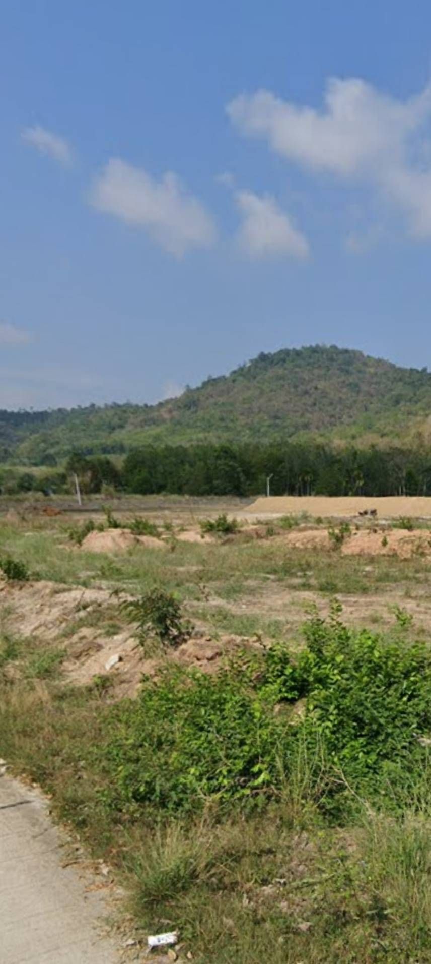 ขายที่ดินระยอง เมืองระบอง ที่ดินหน้ากว้าง แปลงสวย บรรยากาศดี น่าลงททุน 
