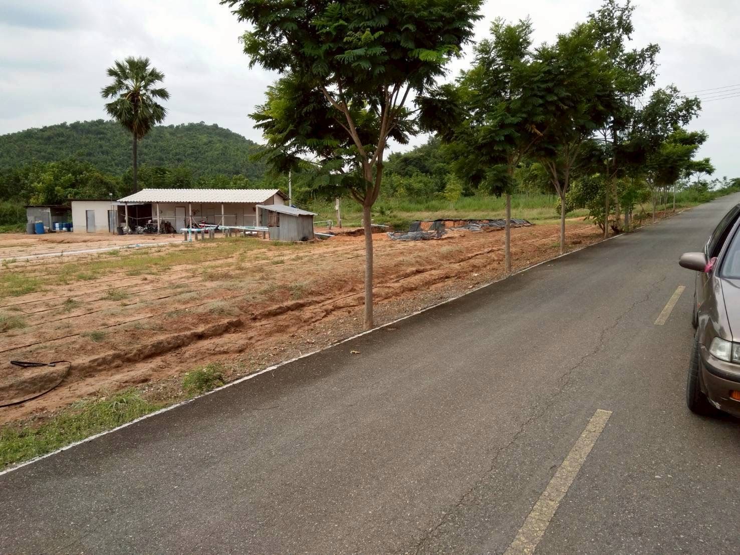 ที่ดินติดถนน หนองตากยา กาญจนบุรี ไม่ไกลจากชุมชน 28-3-72 ไร่.