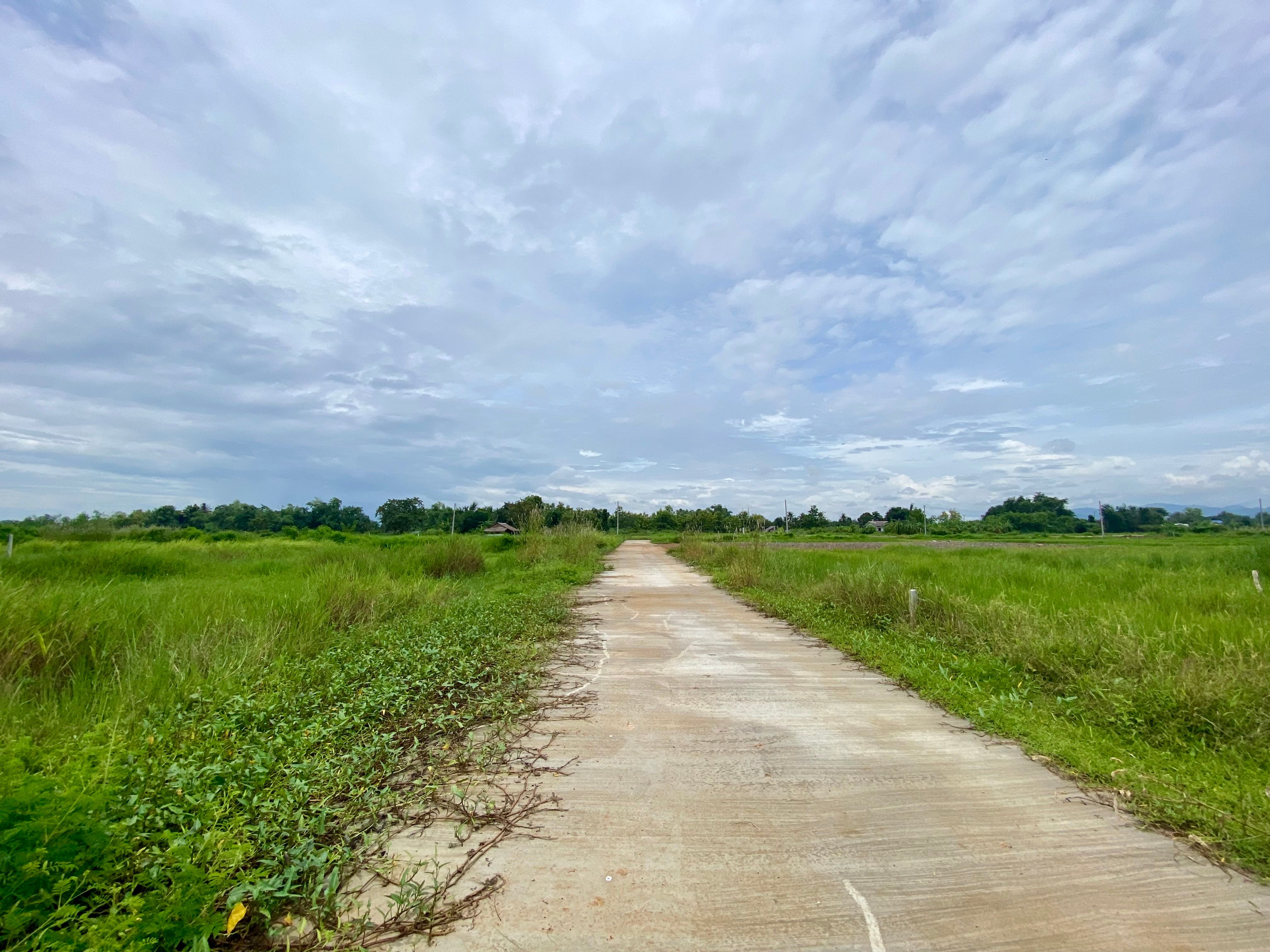 ขายที่ดิน อำเภอดอยสะเก็ต จังหวัดเชียงใหม่ น้ำไฟ ถนนคอนกรีต เหมาะสำหรับปลูกบ้านภาคเหนือ อากาศดี มองเห็นวิวภูเขา
