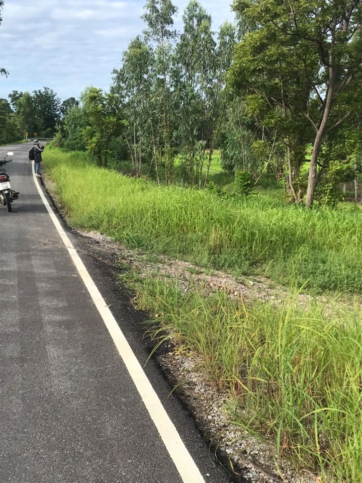 ขานที่ดิน ตาก 5-0-50 ไร่