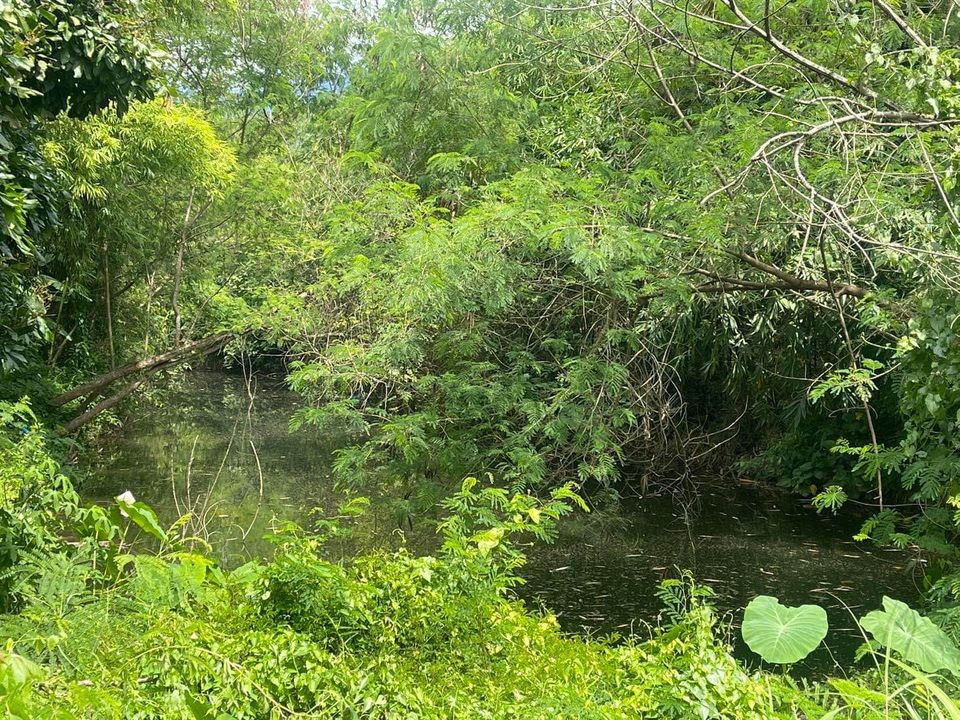 ขายที่ดิน จันทบุรี 13-1-46 ไร่ 