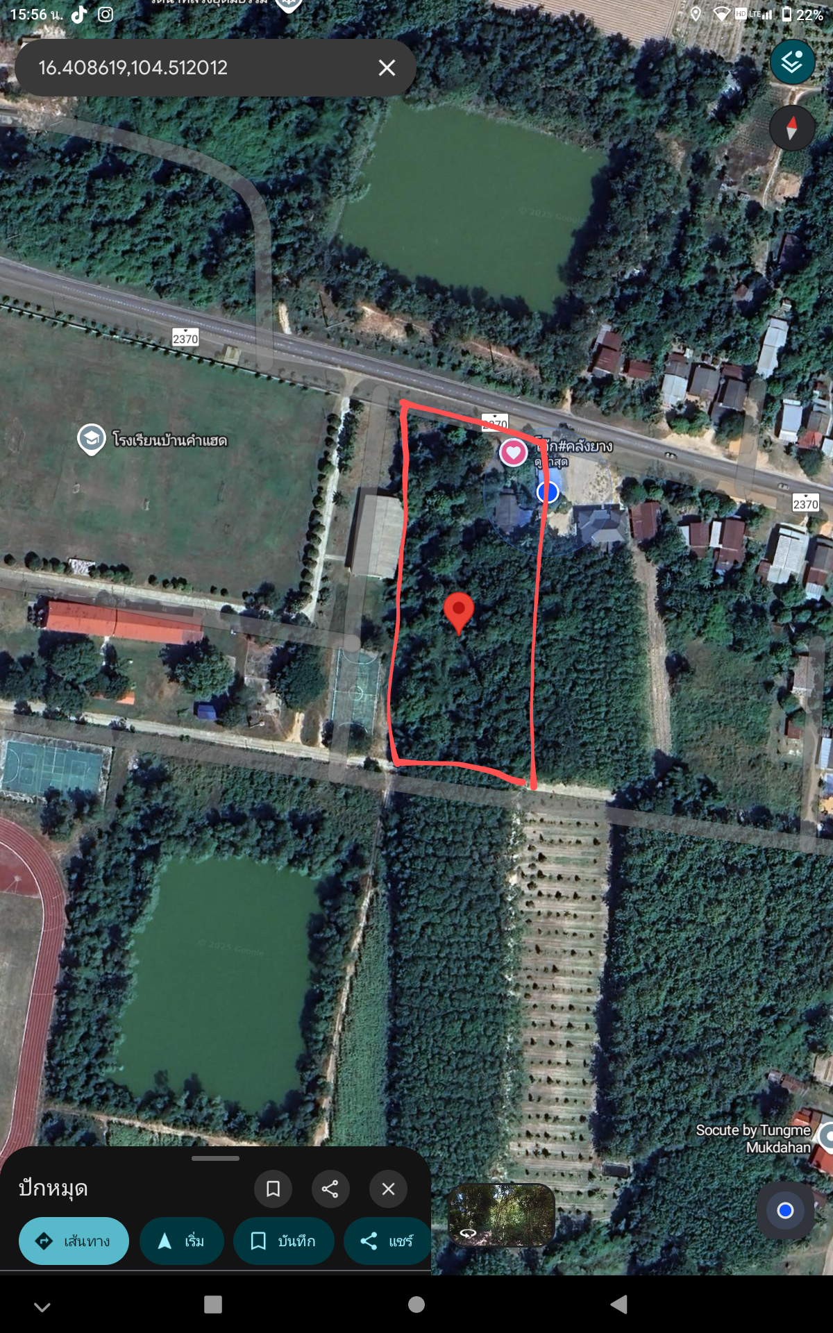 บ้าน + ที่ดิน + พยุงทองคำ 73 ต้น… ในราคาแค่ 6.5 ล้าน ทำเลแบบนี้ + ไม้มีค่าแบบนี้… หาไม่ได้ง่ายๆ