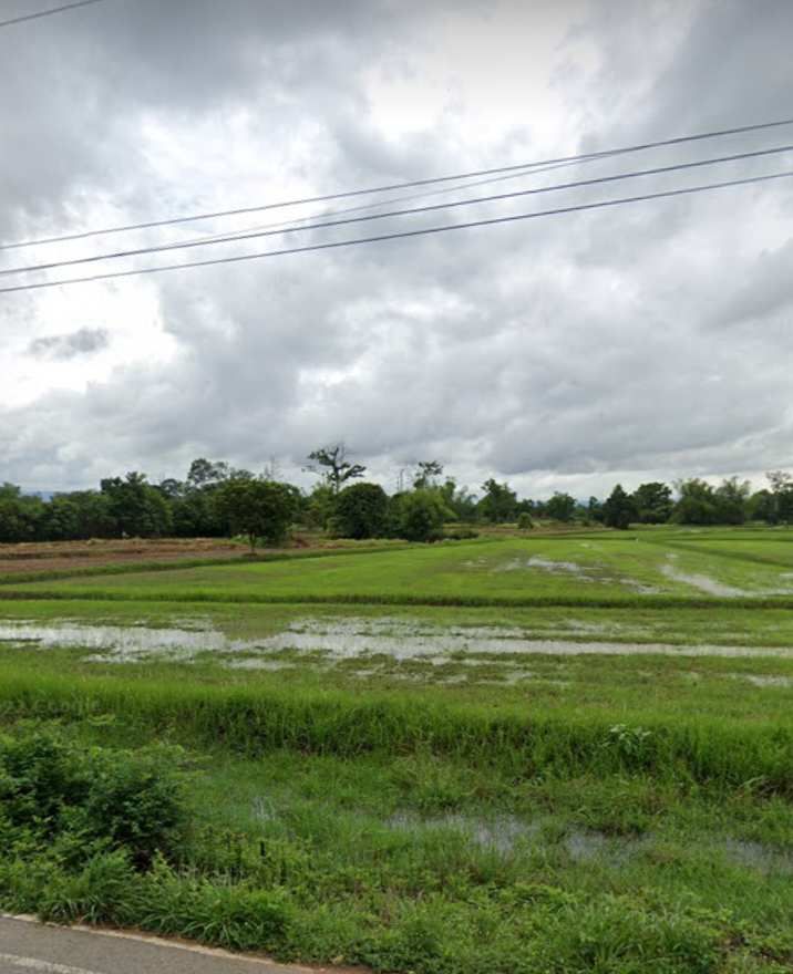 ที่นาติดถนนหนองโสมง ทำเลใกล้เมือง น้ำไฟเข้าถึงพร้อมมาก