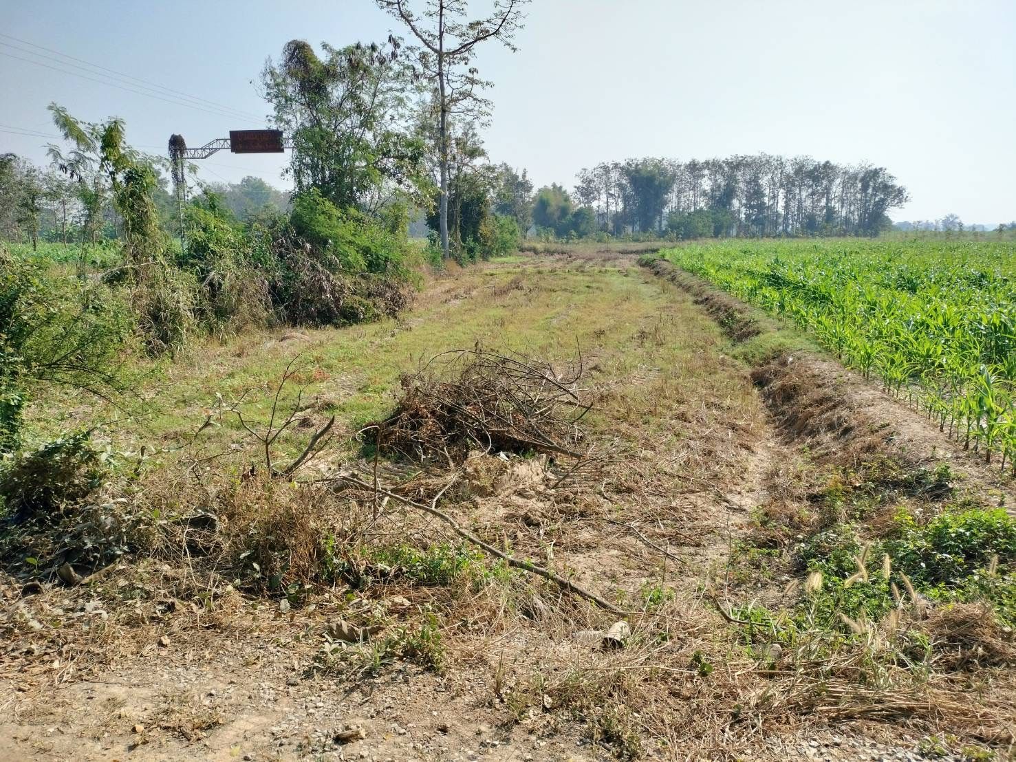 DD-0307 ขายที่ดิน บ้านแม่ยางร้อง อ.ร้องกวาง แพร่  1-1-3 ไร่