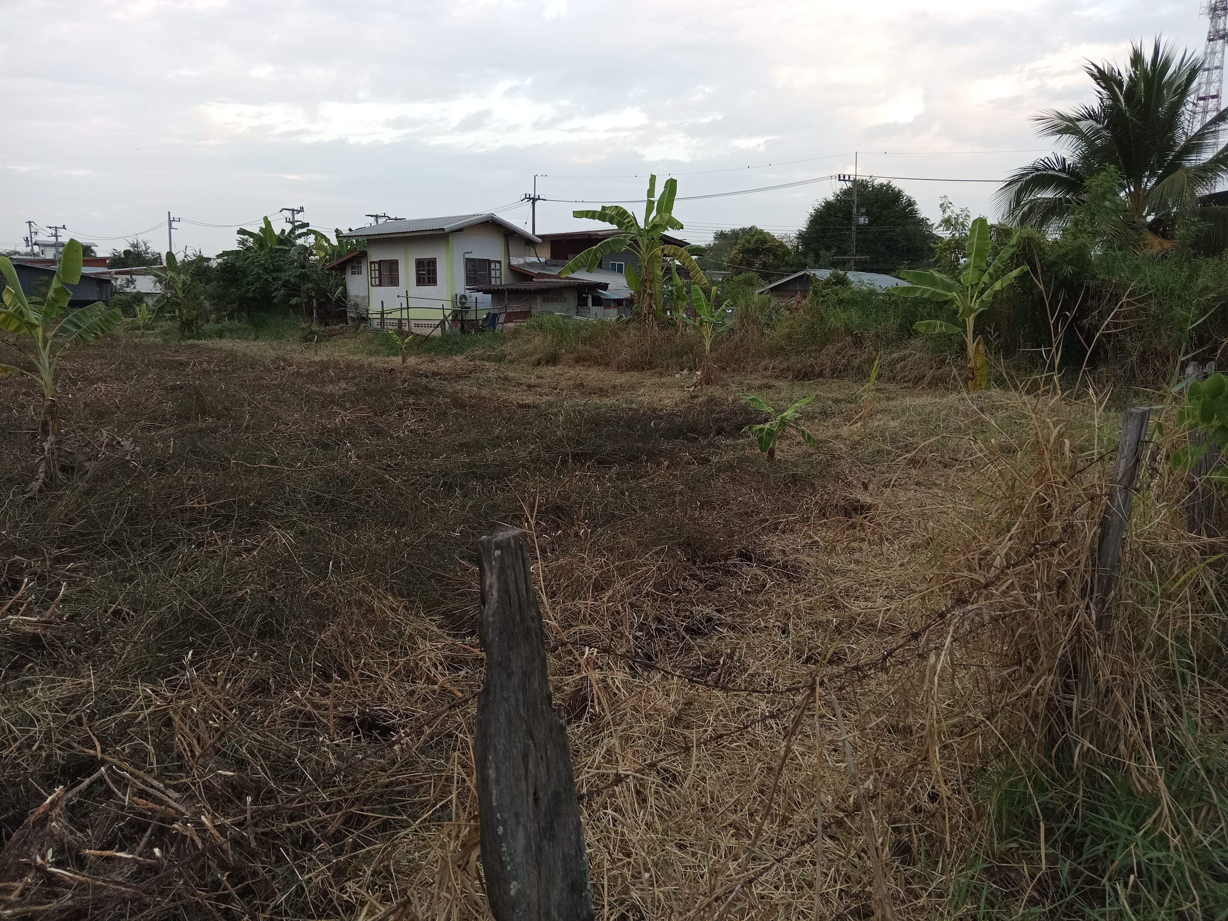 ที่ดินเปล่ากลางชุมชน ในเขตเทศบาล