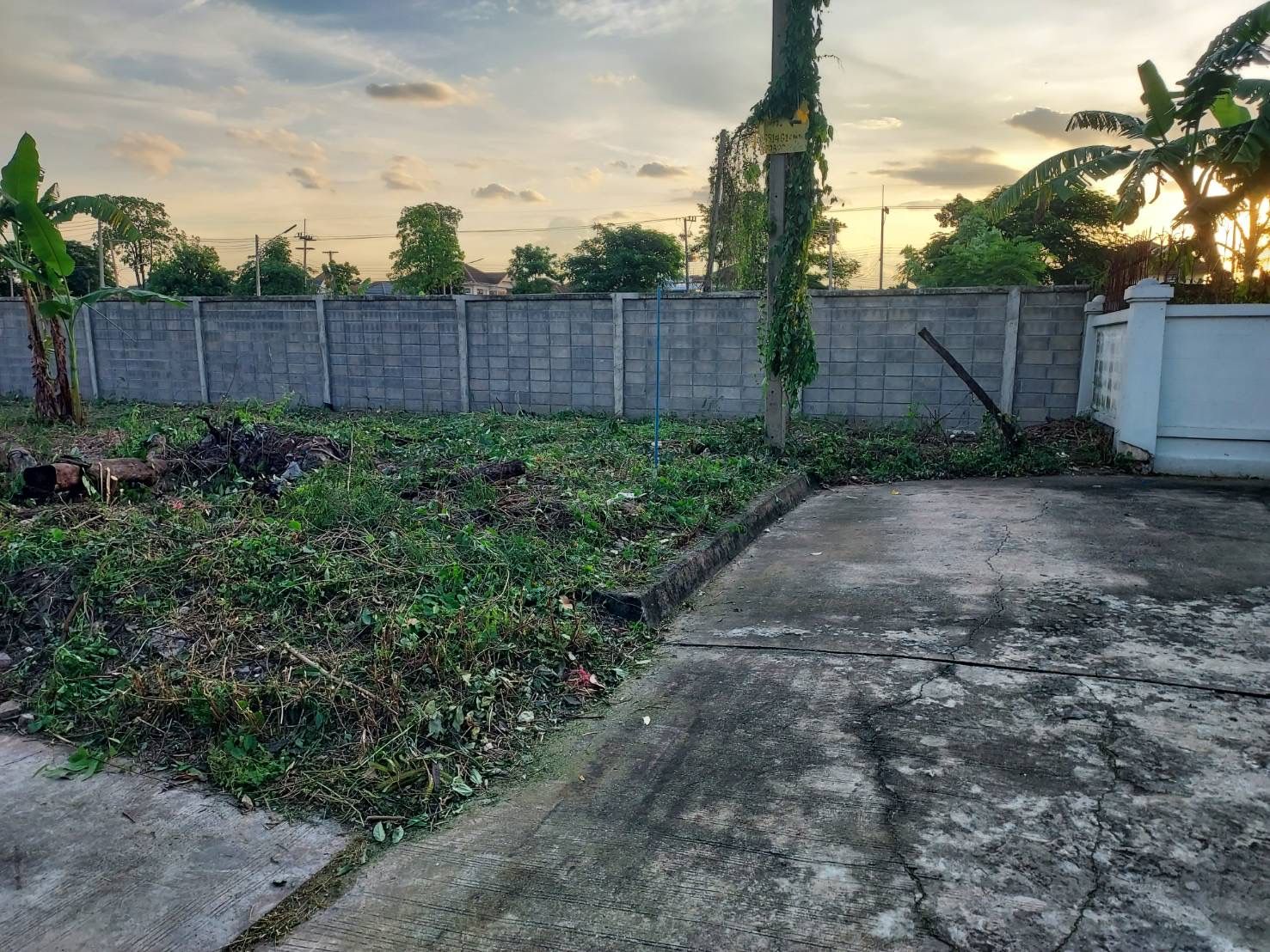 ขายที่ดินหมู่บ้านสิวลี