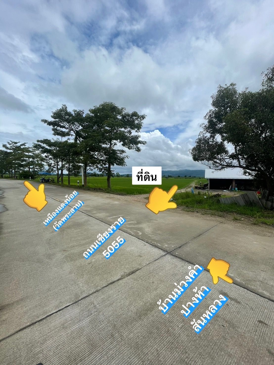 ขายที่ดินแม่สาย