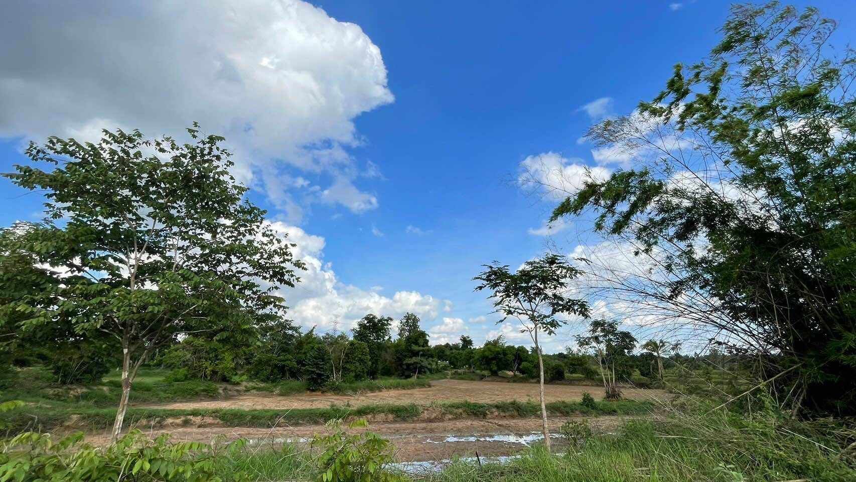 ขายที่ดิน 11-0-2 ตรว. บ้านโนนเหลี่ยม