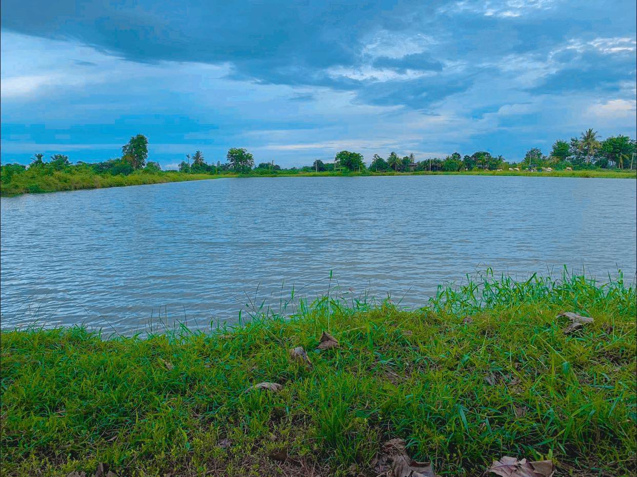 ขายที่ดินกาญจนบุรีเป็นบ่อปลาทำเลดี 9-0-48.8