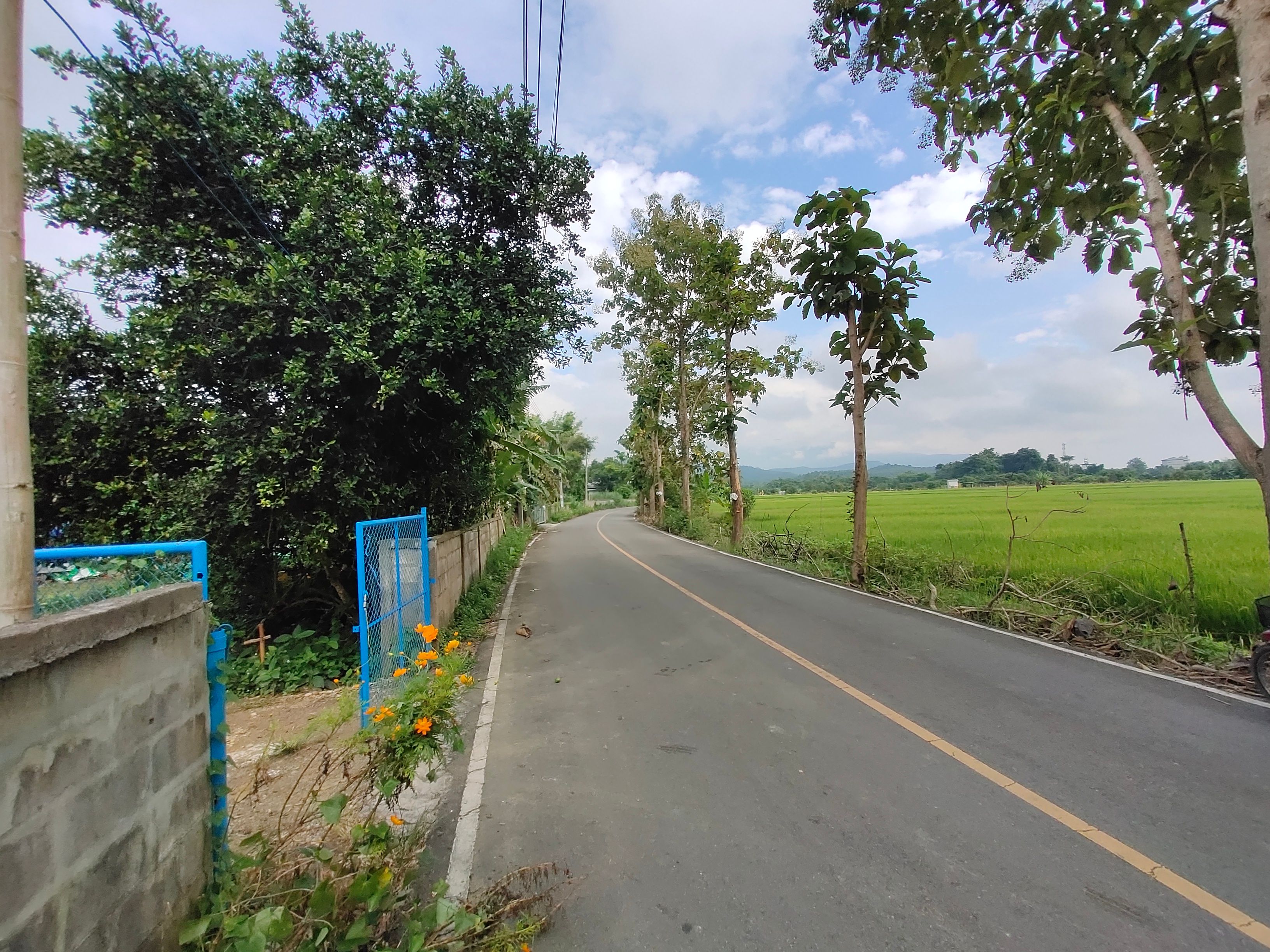 ขายที่ดินแปลงสวย ขายเลี้ยงเมียน้อย