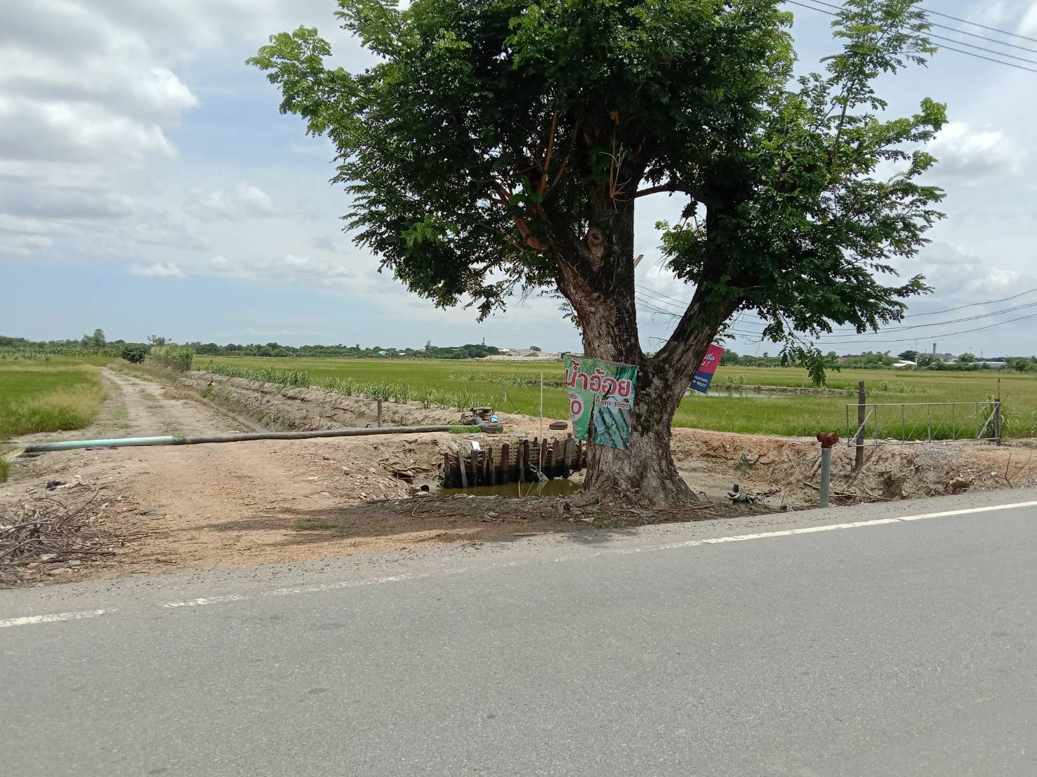 ขายที่ดิน ที่นาแปลงใหญ่ เมืองนครปฐม 154-3-5