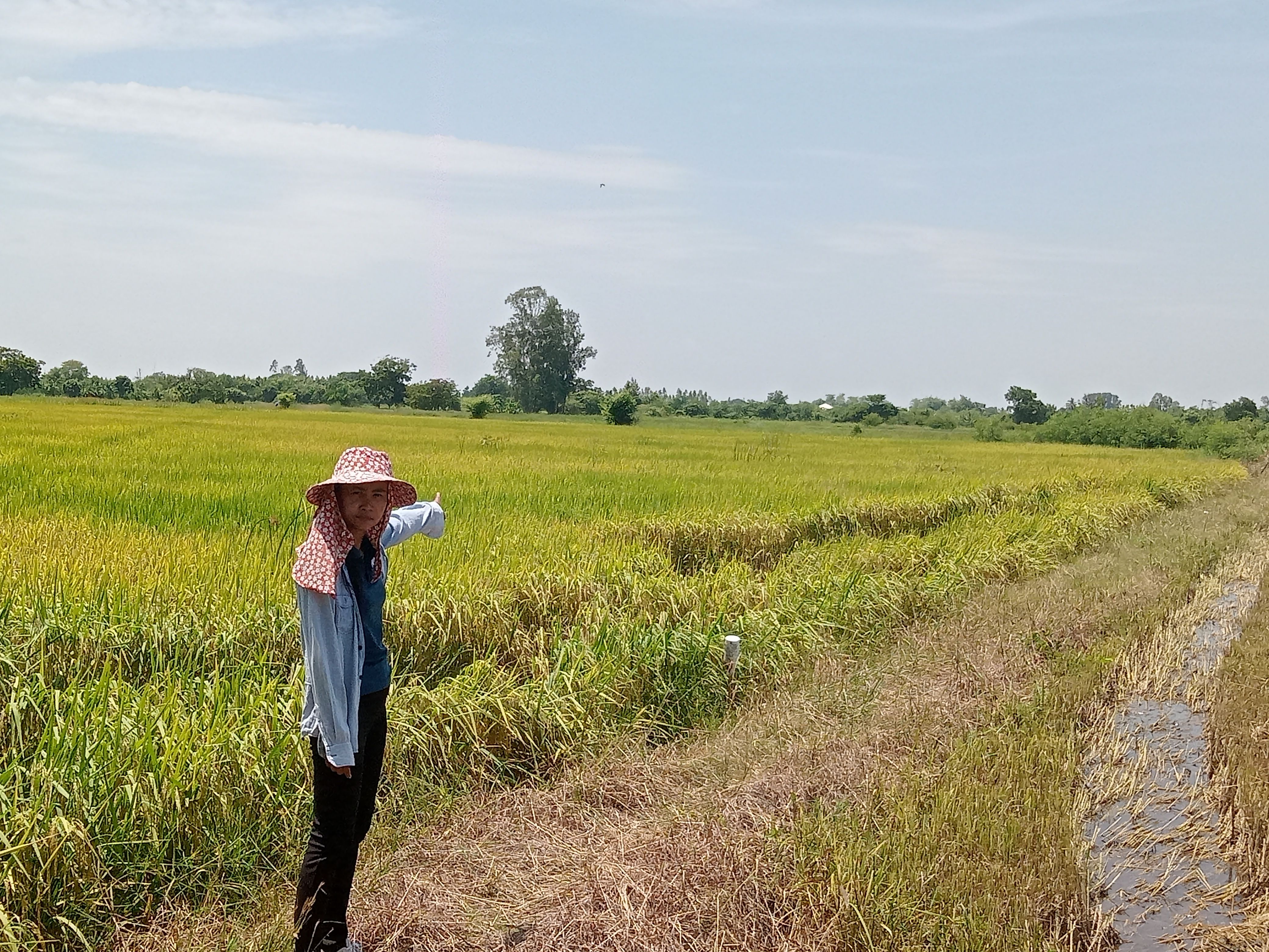 ขายที่ดินอ่างทอง อำเภอสามโก้