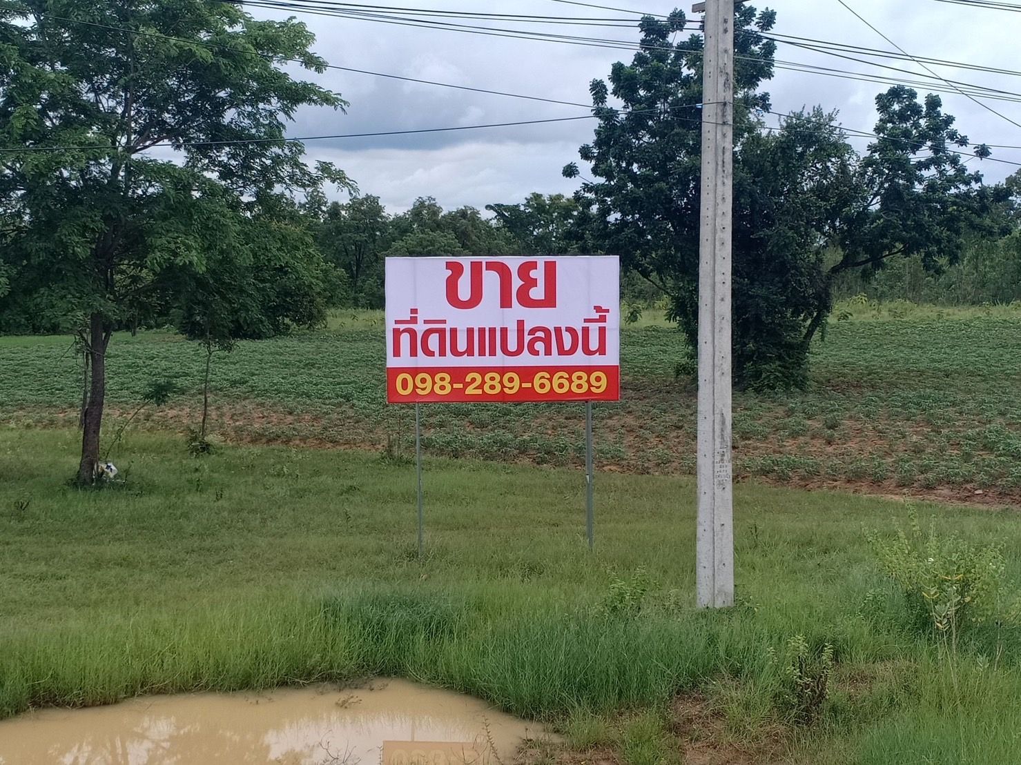 ขายที่ดิน 7 ไร่ 2 งาน 17 ตรว ติดถนนเลี่ยงเมือง ขอนแก่น