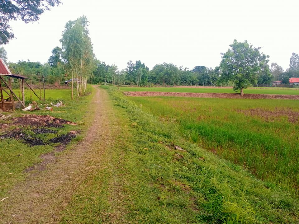 ขายที่ดิน มหาสารคาม 2 ไร่ 
