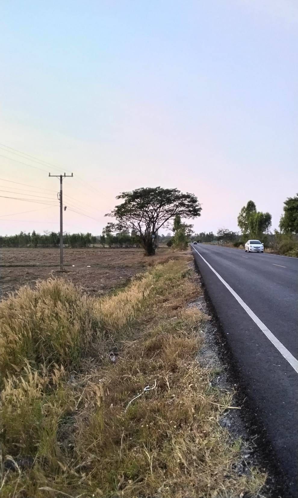 ขายที่ดินร้อยเอ็ด อำเภอเกษตรวิสัย แปลงสวย