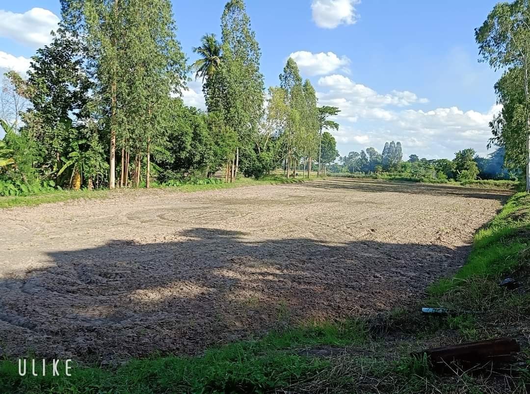 ขายที่ดินขอนแก่น เมืองขอนแก่น 2-3-19.4