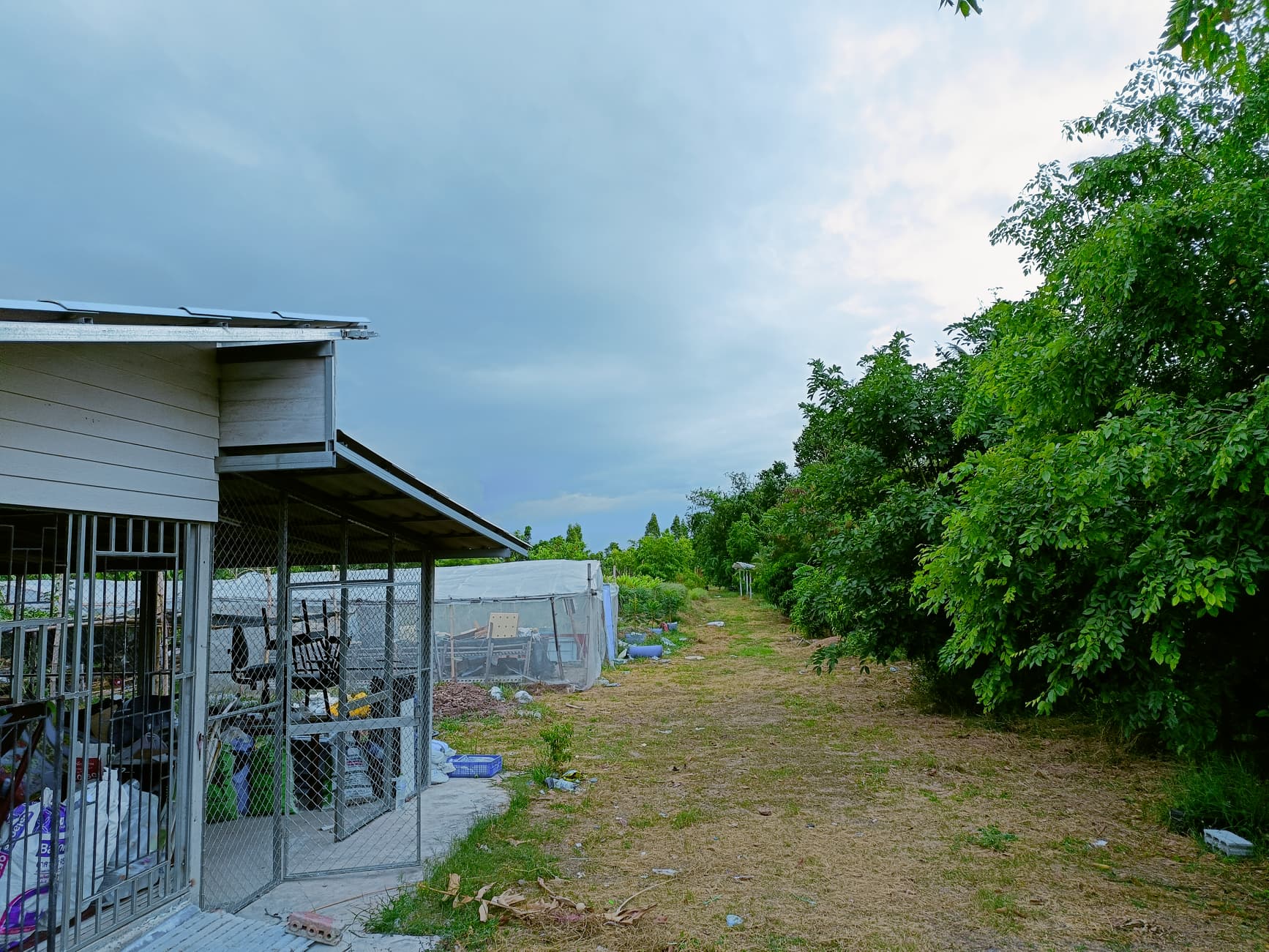 ขายที่ดินสุพรรณบุรี เมืองสุพรรณบุรี 3ไร่