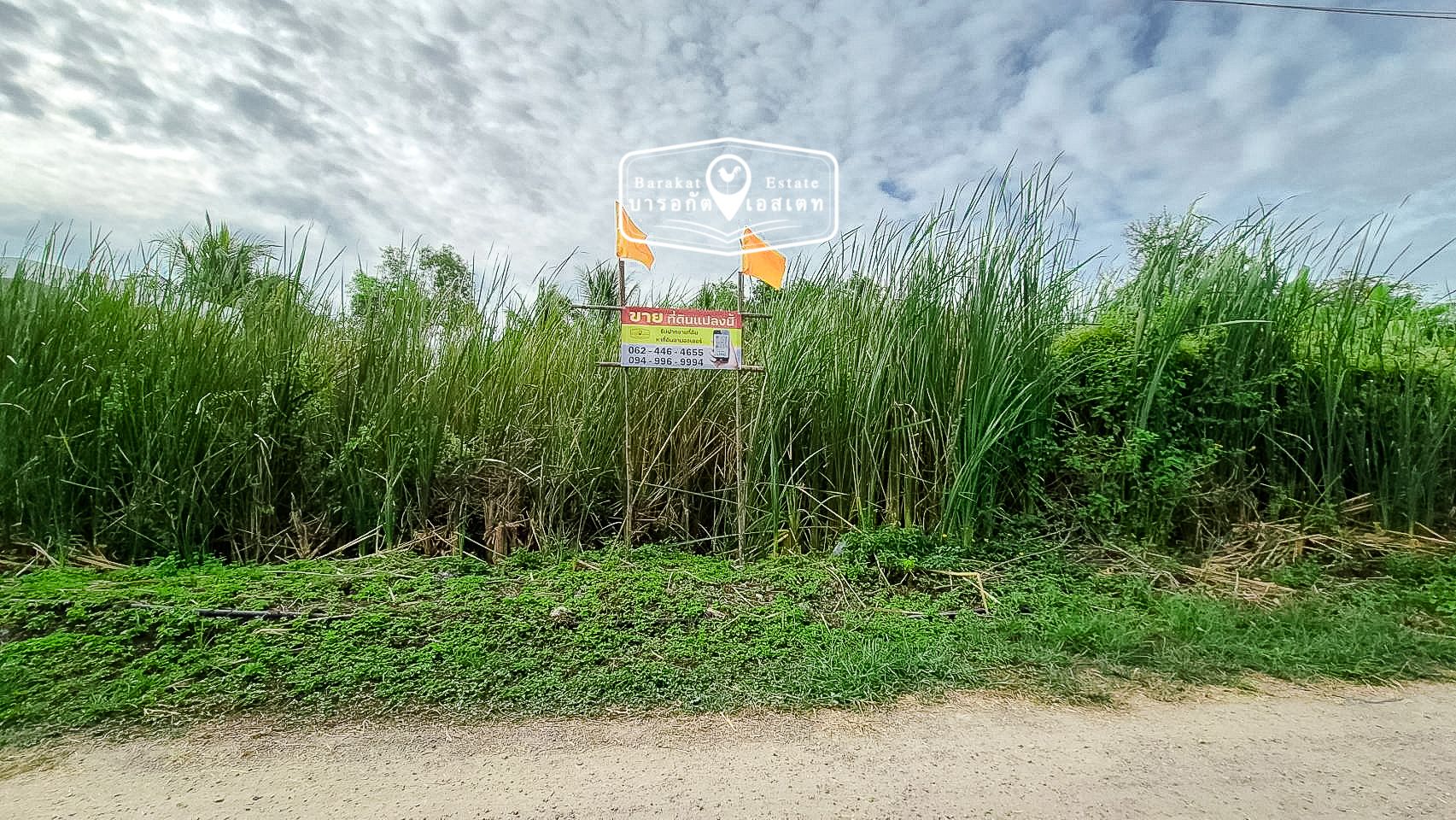 ที่สวยติดถนนซอย น้ำ ไฟ พร้อม การเดินทางสะดวก ทำเลดีมีเพื่อนบ้านไม่แออัด