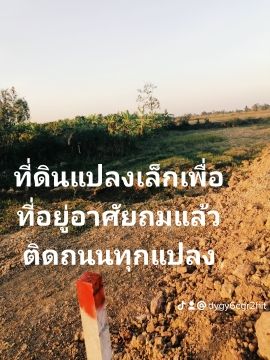 ที่ดินทำเลสวยไกล้เมืองสุรินทร์เพียง2.5 กม.