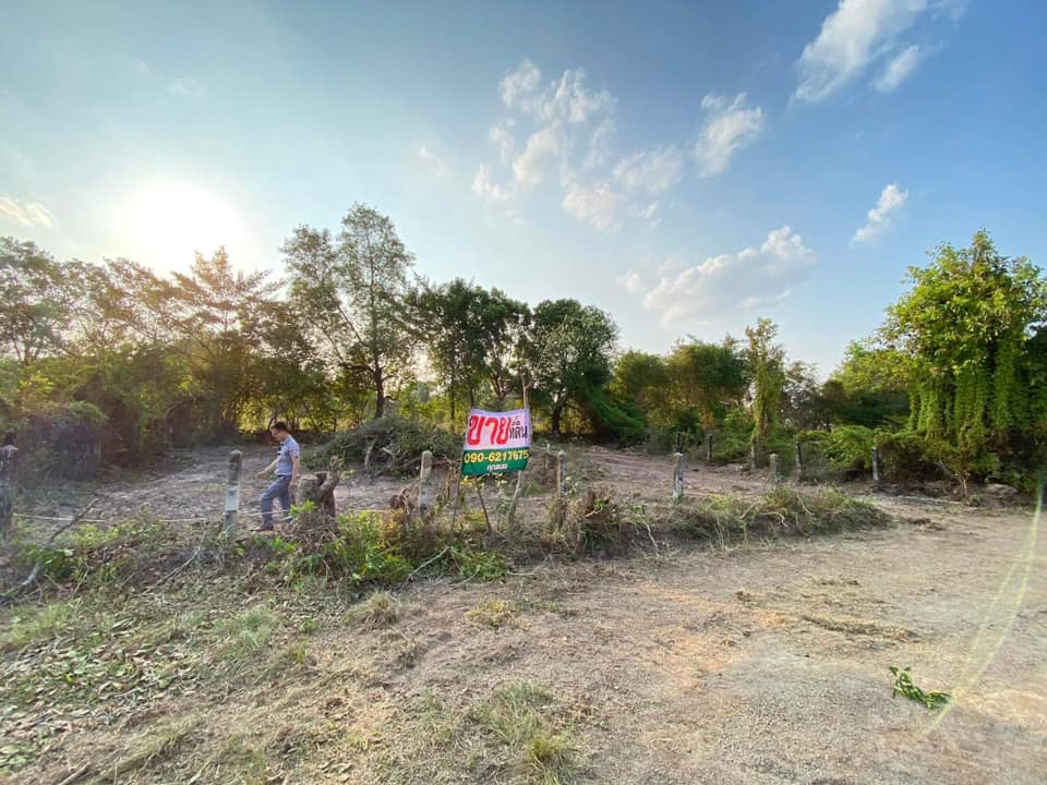 ที่ดิน 100 ตร.วา บ้านหัวคำ อุบลราชธานี
