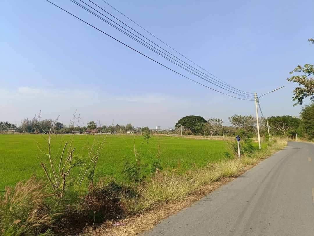 ขายที่ดิน 19 ไร่