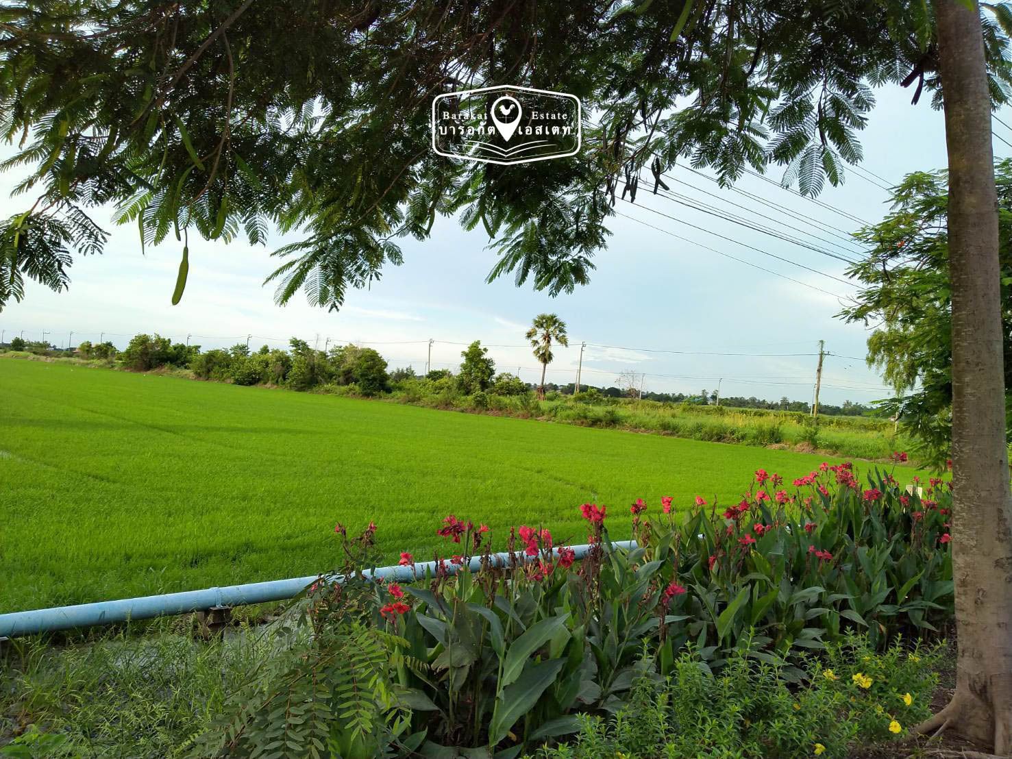 แปลงสวยติดถนนใหญ่ ราคาสุดพิเศษ เขตหนองจอก จังหวัดกรุงเทพฯ
