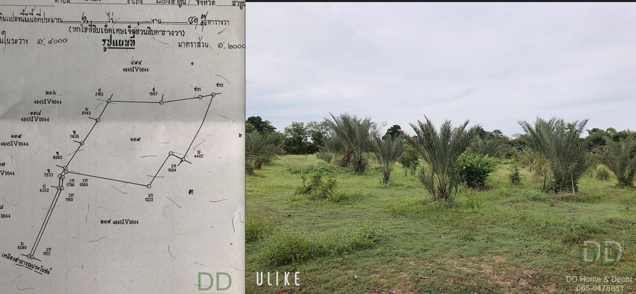 DD#0068 ขายที่ดินสวนอินทผาลัม 6 ไร่ 41 ตร.วาๆ ละ 2,500บ