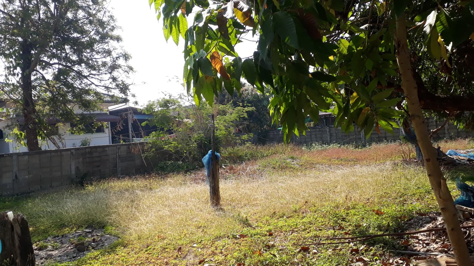 ขายบ้านเชียงราย เมืองเชียงราย 0-3-28
