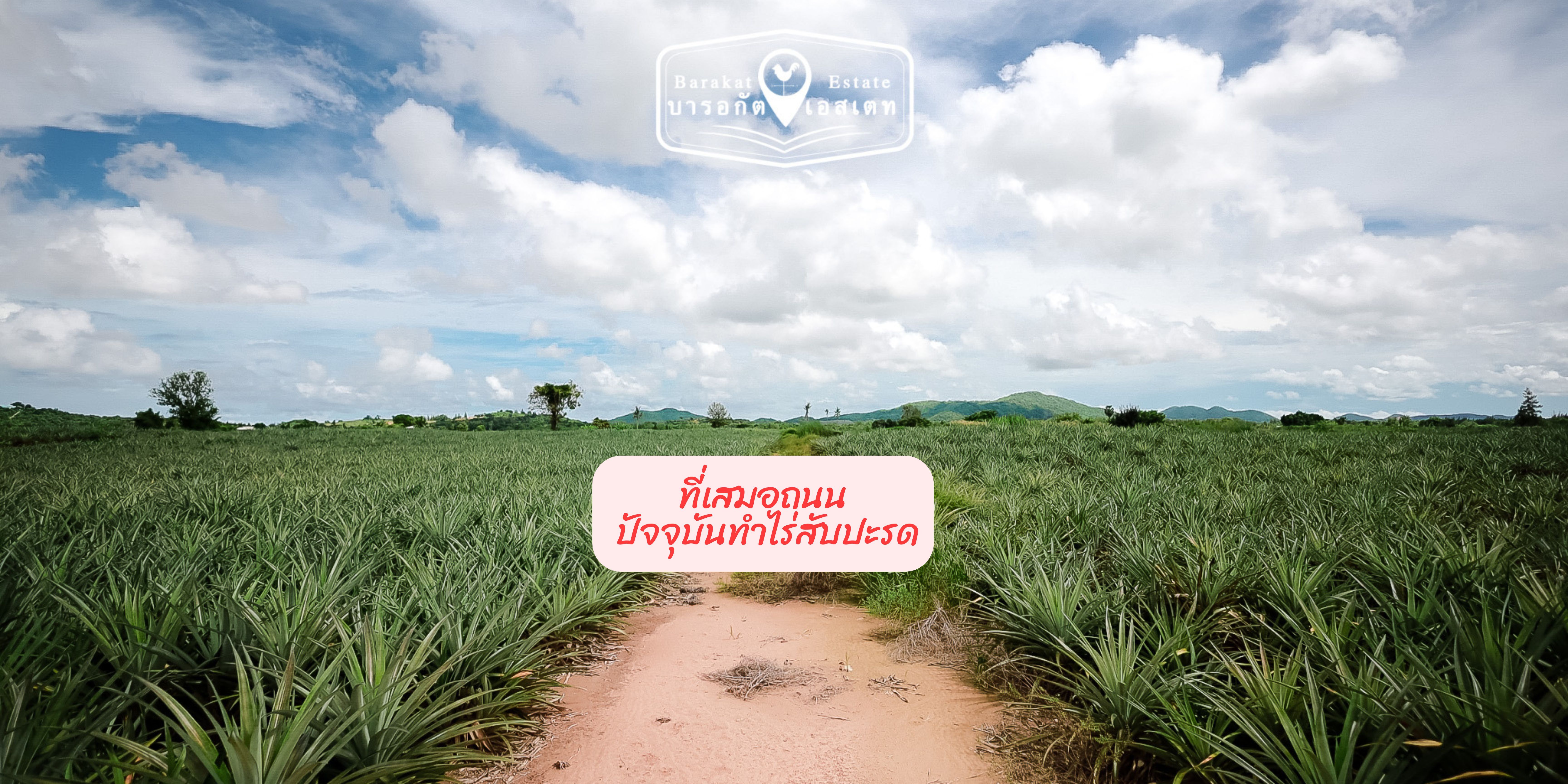 แปลงสวยวิวภูเขา เหมาะสำหรับทำจัดสรร,รีสอร์ท,การเกษตร อำเภอปราณบุรี จังหวัดประจวบคีรีขันธ์