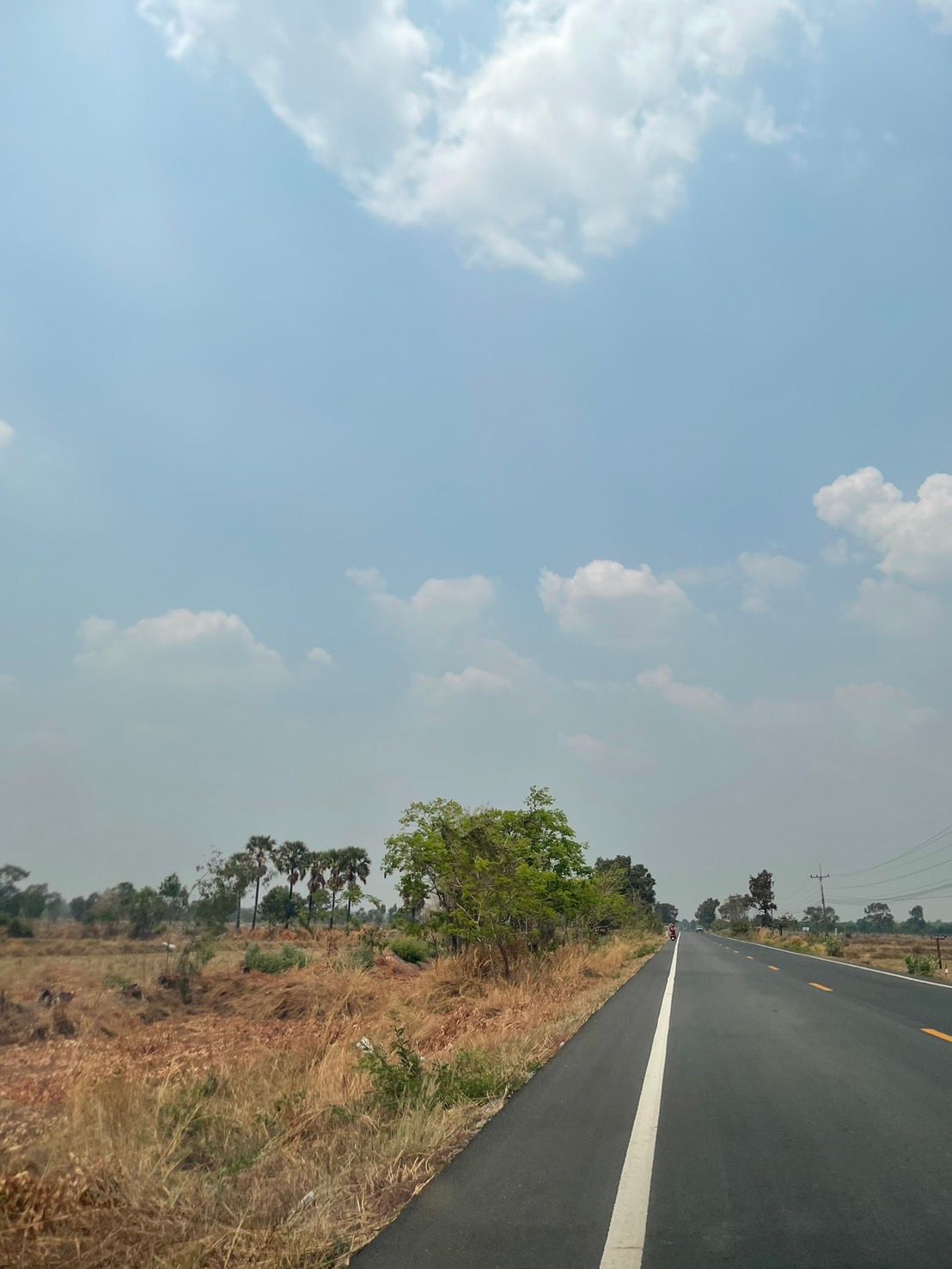 ขายที่นาติดถนนดำ ต.บ้านแวง อ.พุทไธสง จ.บุรีรัมย์