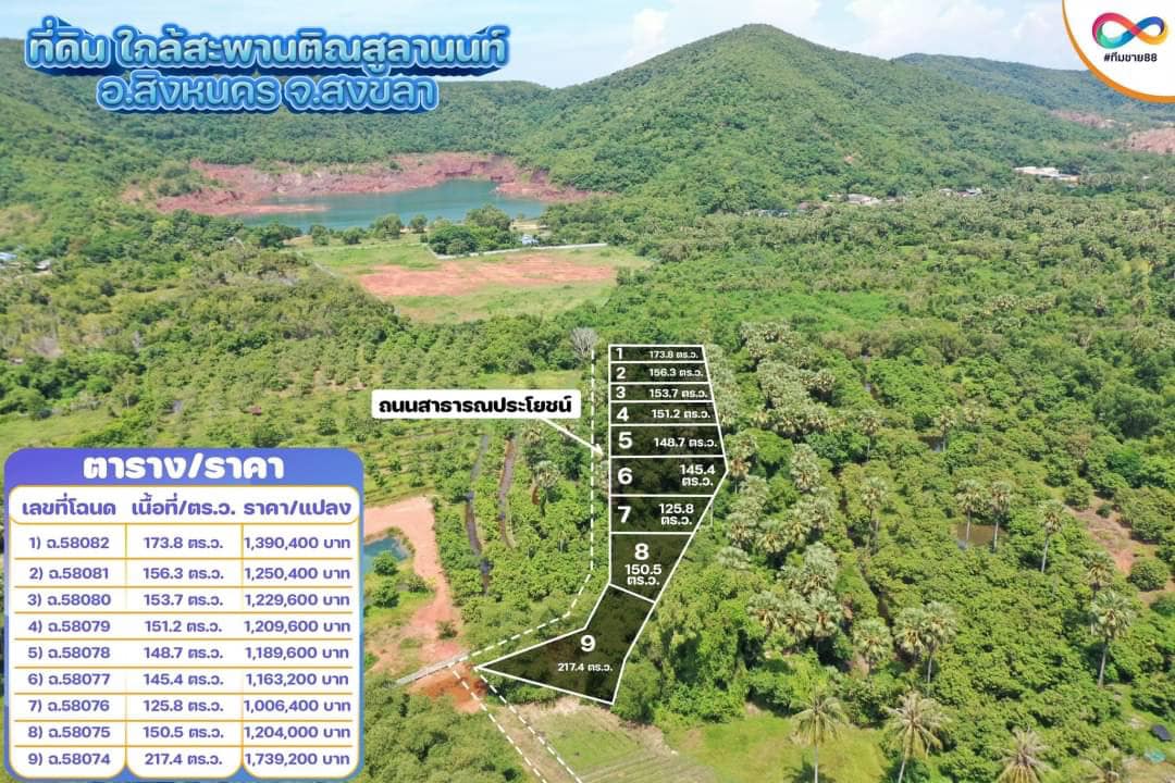 ขายที่ดินสงขลา สิงหนคร 0-1-25.8ตารางวา