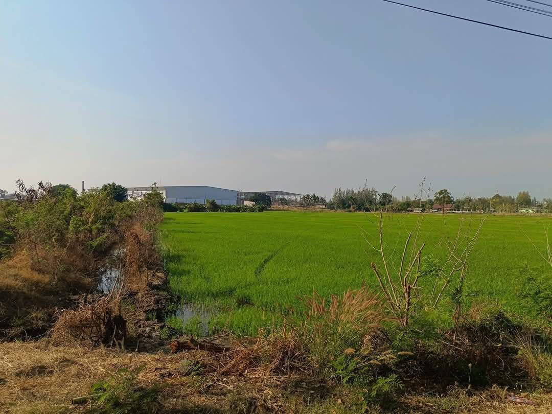 ขายที่ดิน 19 ไร่