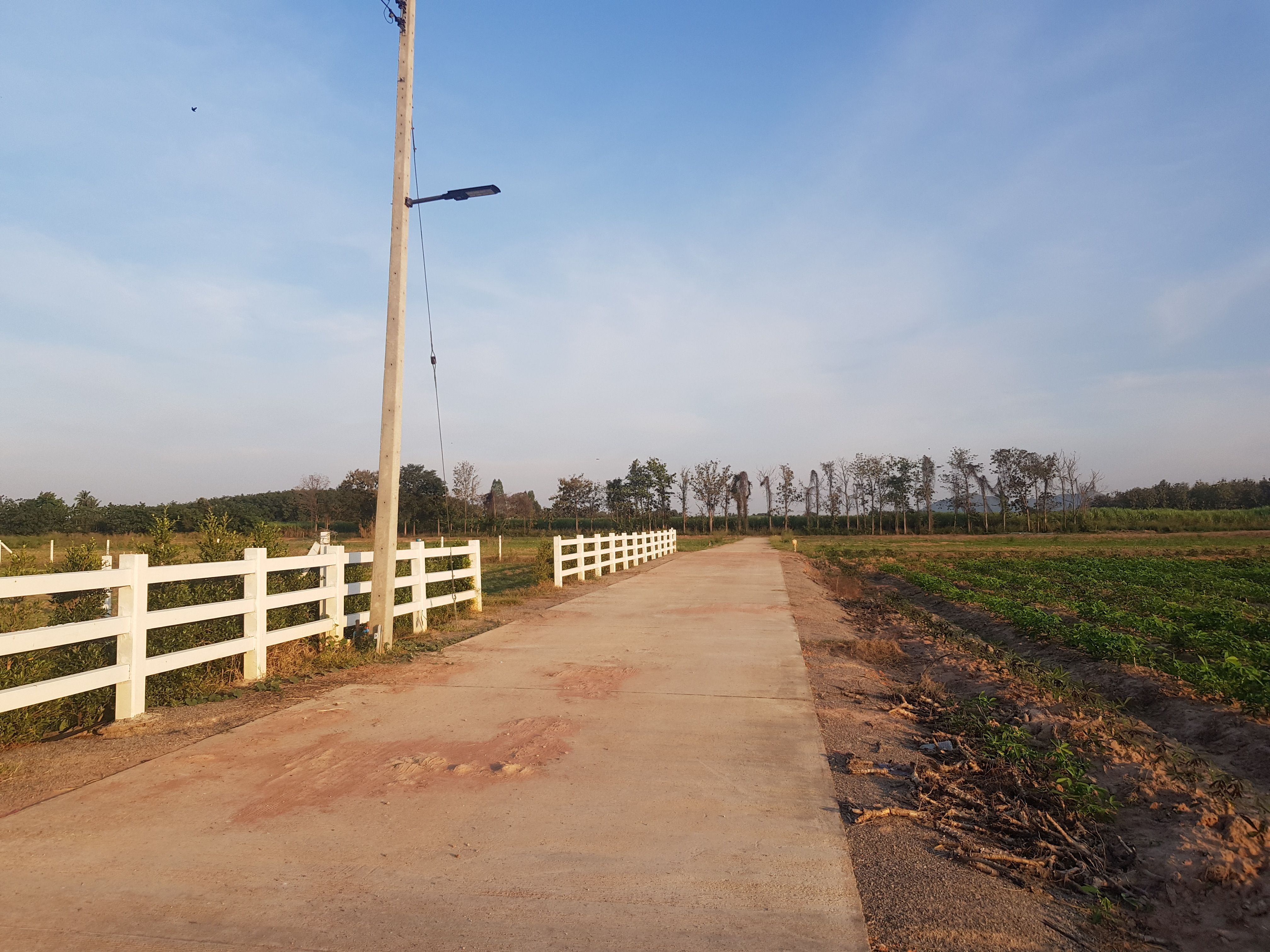 ขายที่ดินท่าม่วง กาญจนบุรี ถมแล้ว ต.หนองตากยา