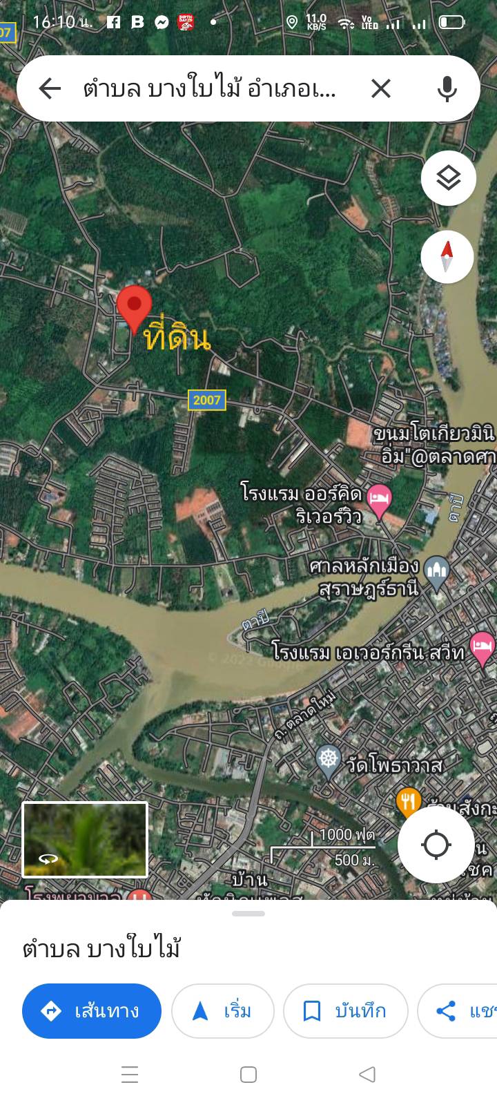 ขายที่ดิน สุราษฎร์ธานี 7-3-55.8 ไร่