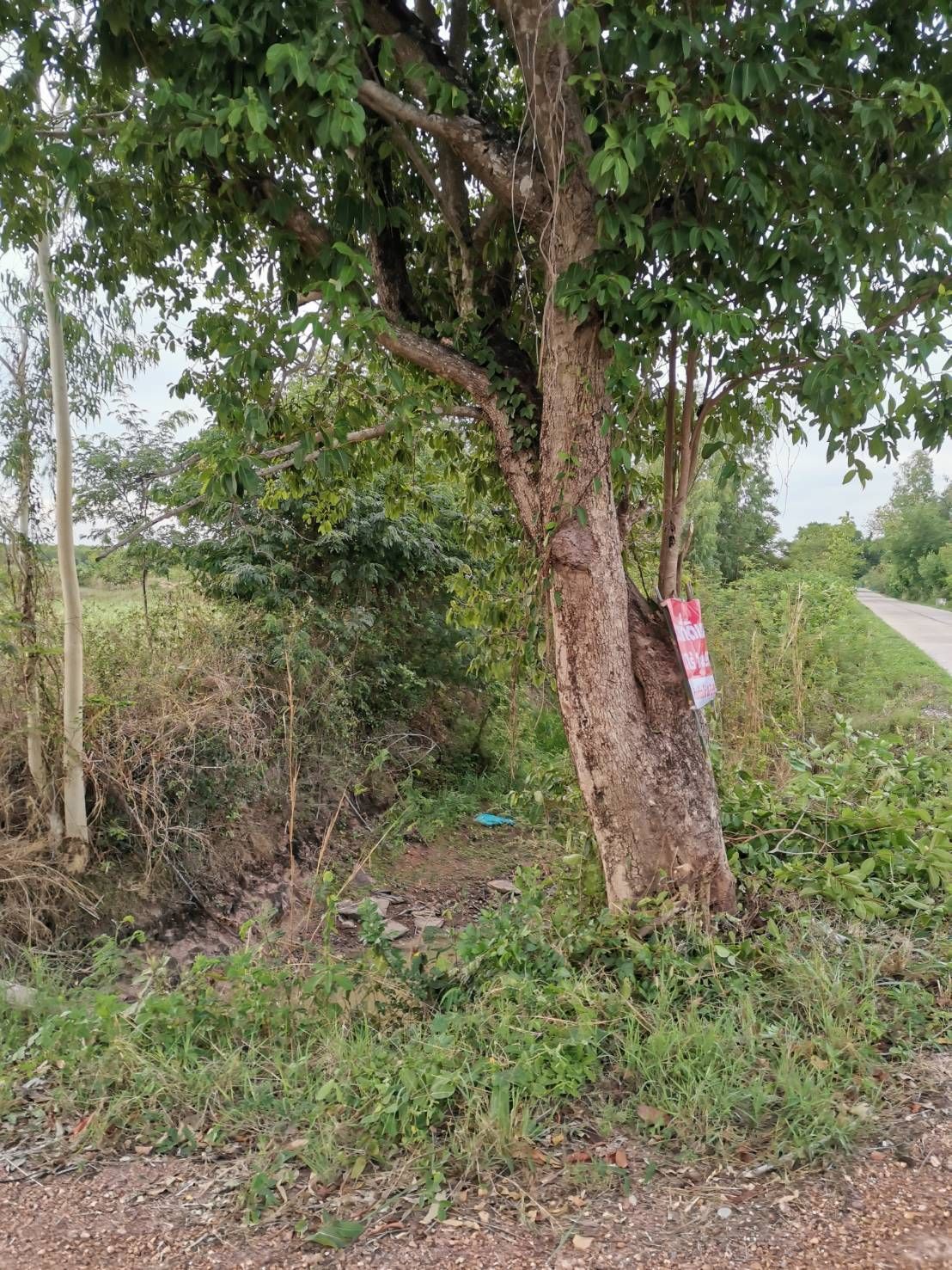 ขายที่ดินกำแพงเพชร ใกล้หมู่บ้าน ในเขตเทศบาล