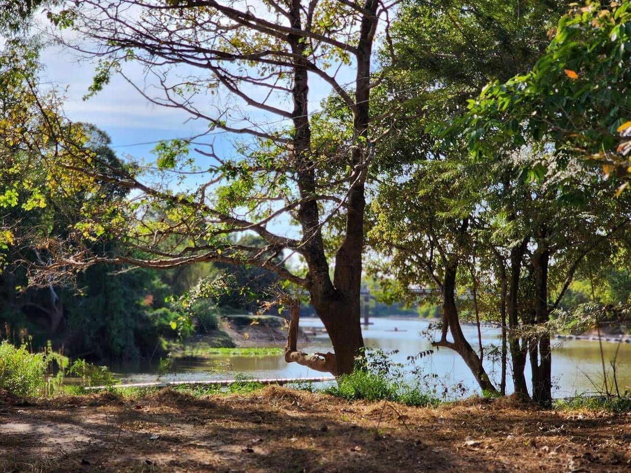ขายที่ดินปราจีนบุรี อำเภอเมือง ที่ติดแม่น้ำ
