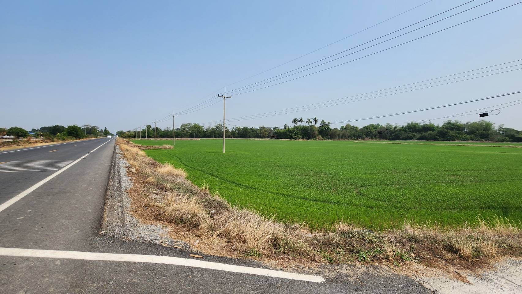 ที่ดินติดถนนใหญ่-ติดแม่น้ำท่าจีน ราคาไร่ละไม่ถึงล้าน มีอยู่จริง