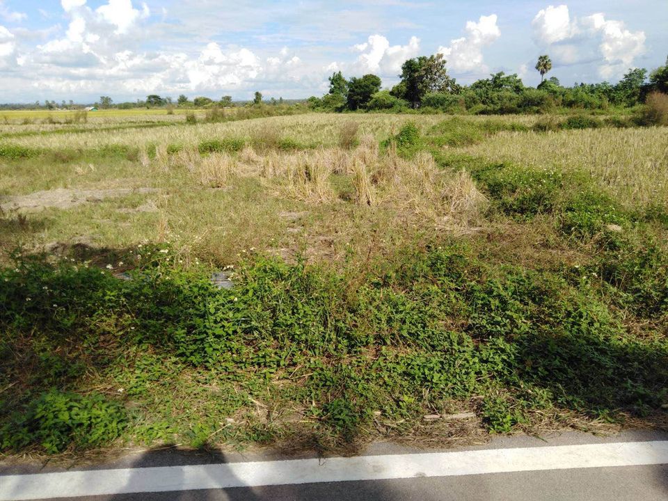 ขายที่ดิน ลำปาง 153 ตรว.