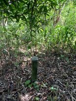 ที่ดินเปล่าแปลงสวย สุพรรณบุรี 2-2-0