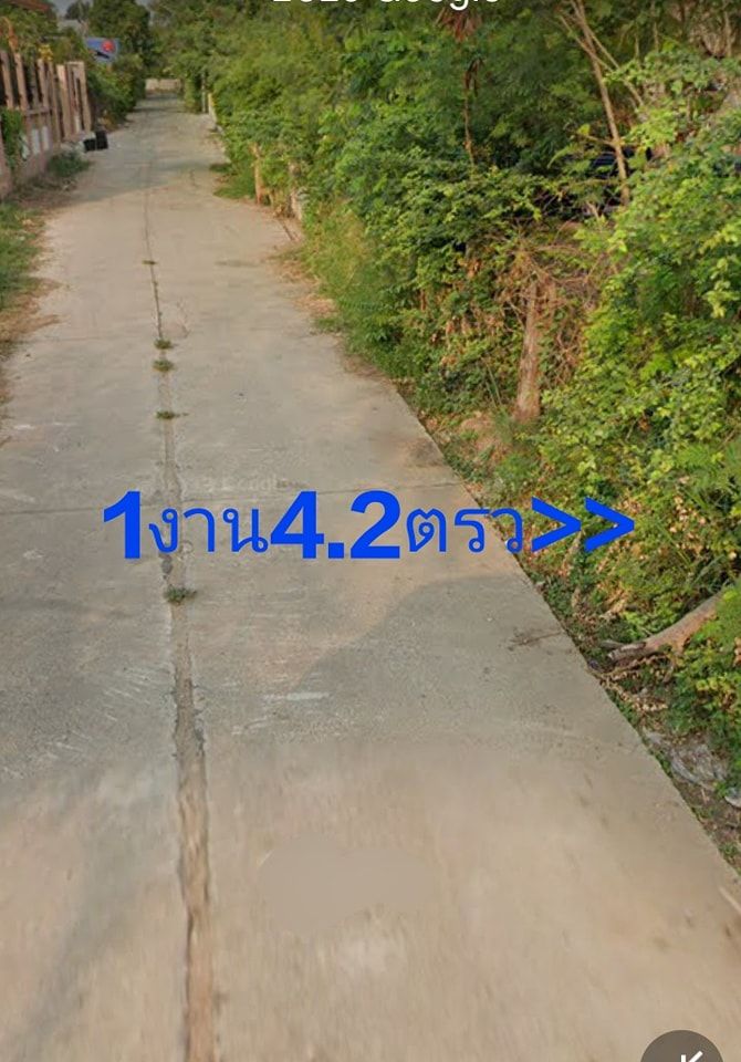 ขายที่ดิน 0-1-4.2 สีคิ้ว โคราช