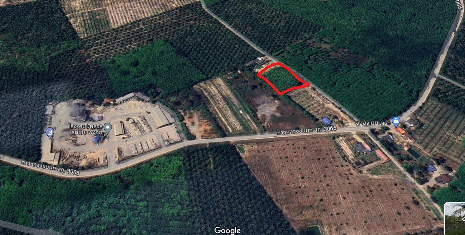 ที่ดินสวนยาง อ.เมืองสุราษฎร์ธานี จ.สุราษฎร์ธานี 2 ไร่