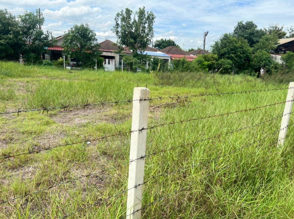 ขายที่ดินคลอง8 จ.ปทุมธานี อ.ธัญบุรี 0-2-52