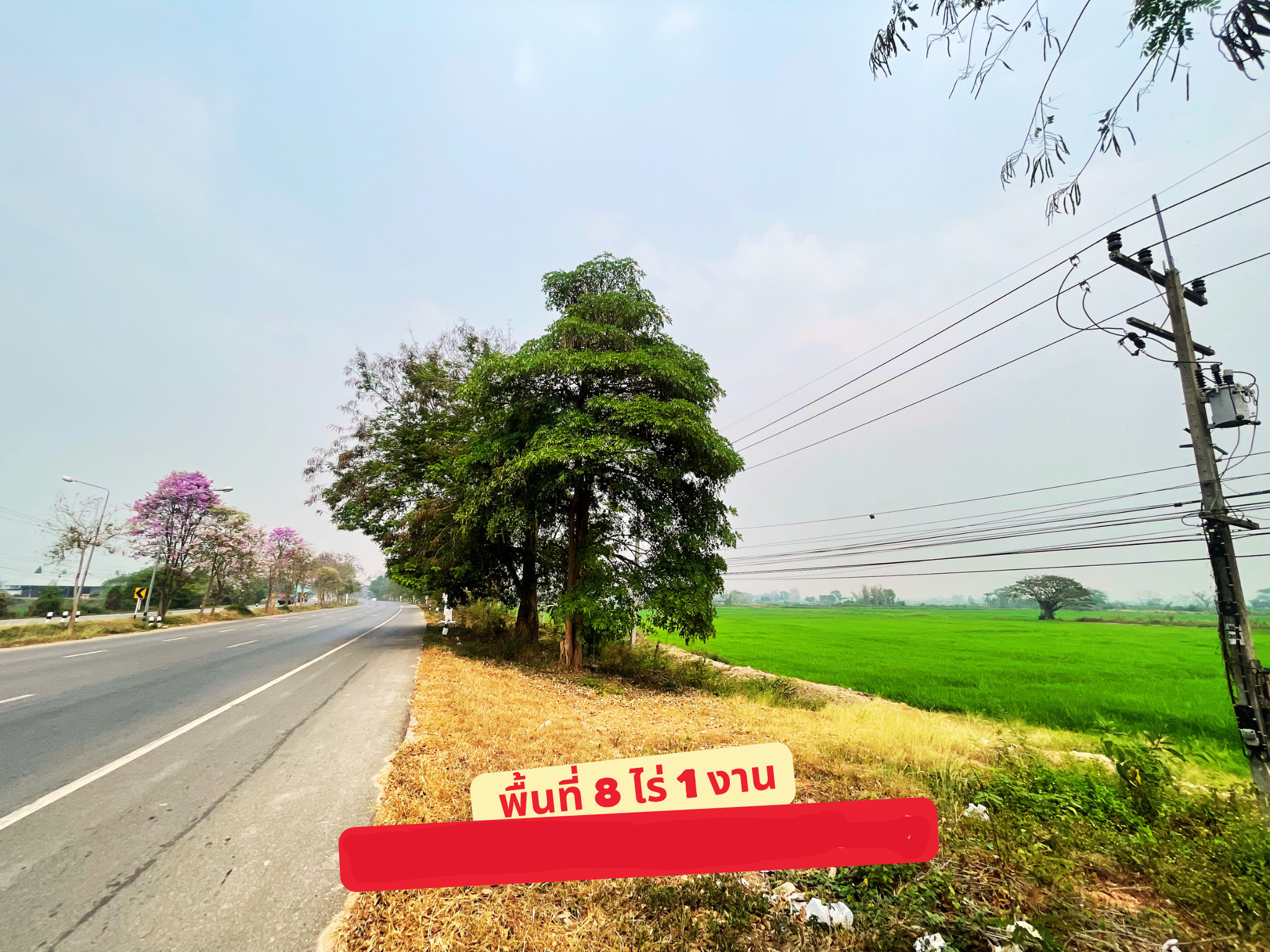 ที่ดินสวย ติดถนนพหลโยธิน (๑) 