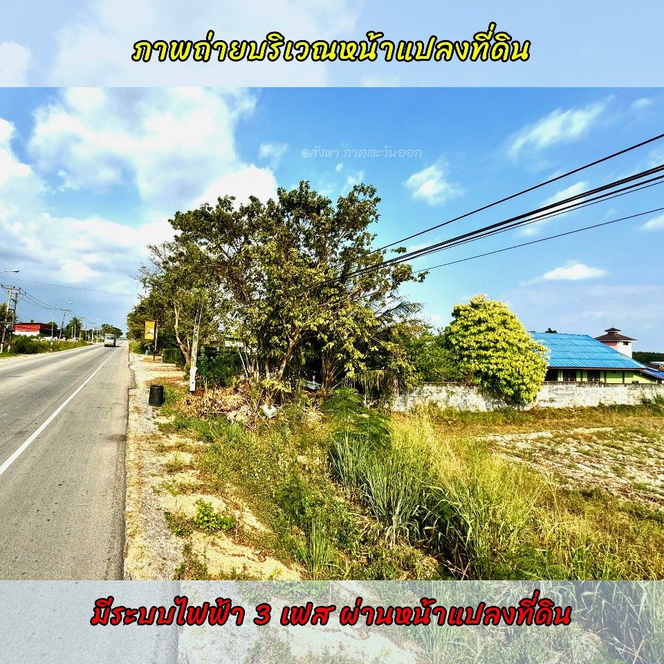 ขายที่ดินระยอง ขายที่ดินนิคมพัฒนา