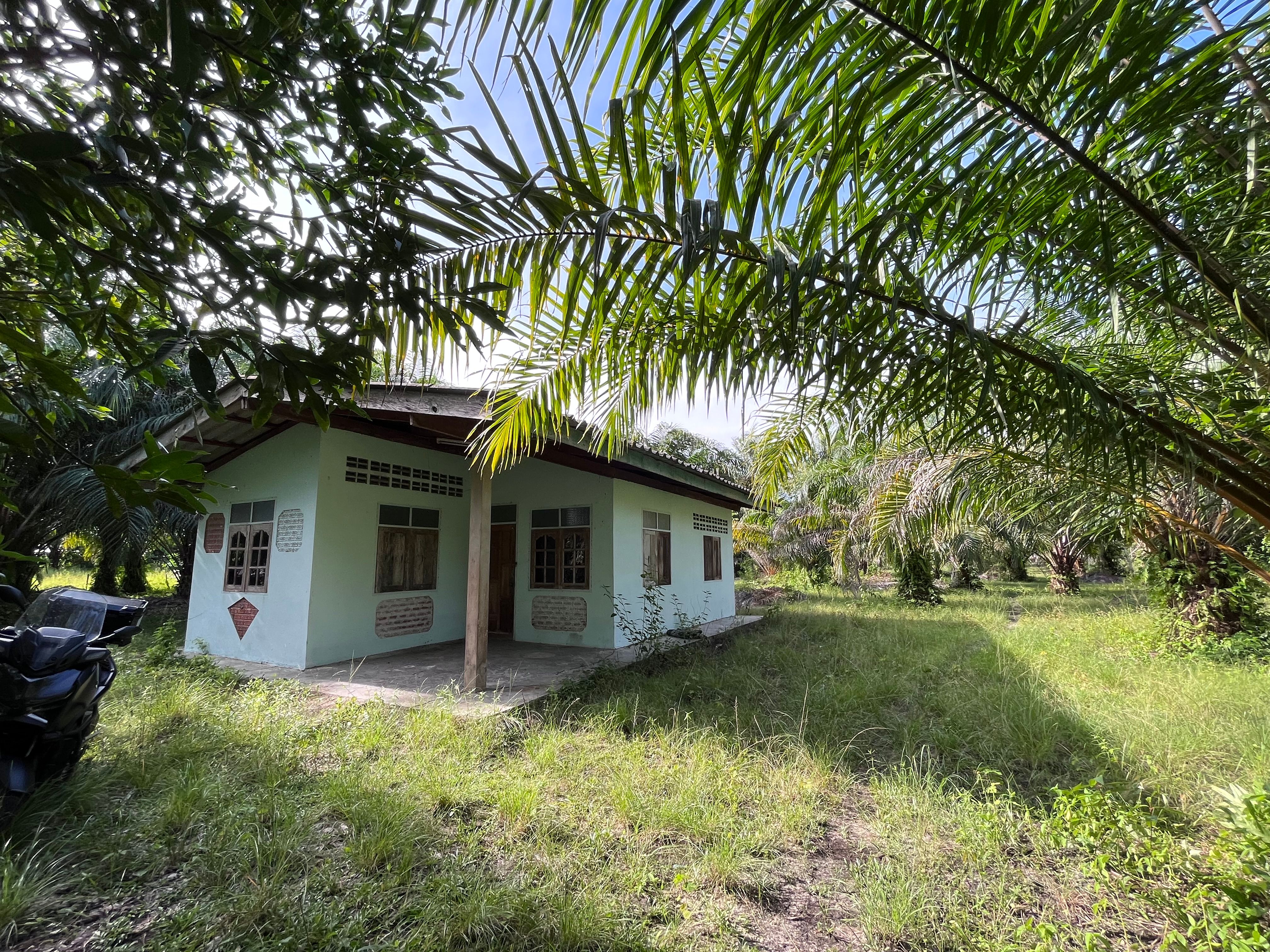 ที่ดินพร้อมบ้านกระบี่ เหนือคลอง อยู่ในสวนปาล์ม 3-1-30 ไร่.