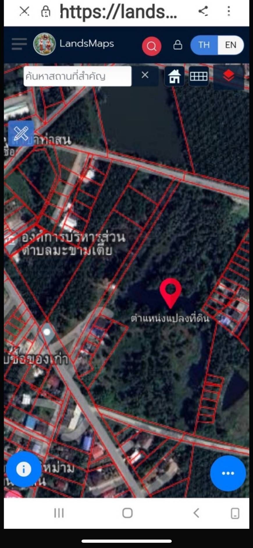 ขายที่ดิน สุราษฎร์ธานี 31 ไร่
