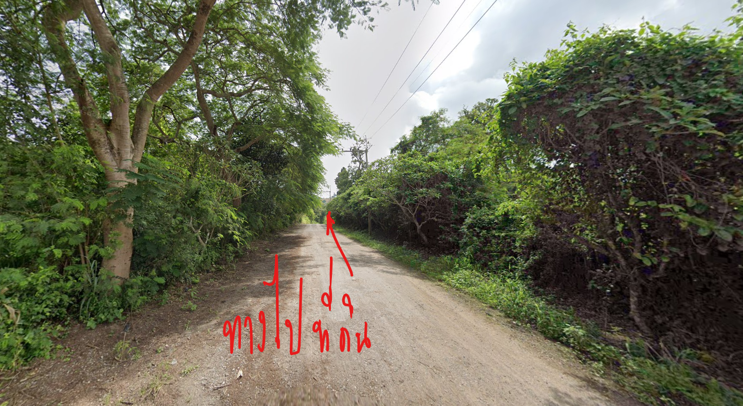ขายที่ดินเชียงราย ที่เกษตร ติดทางสาธษรณะ ทำไร่ได้ ปลูกบ้านสวนได้ เวียงป่าเป้า เชียงราย 1-0-37