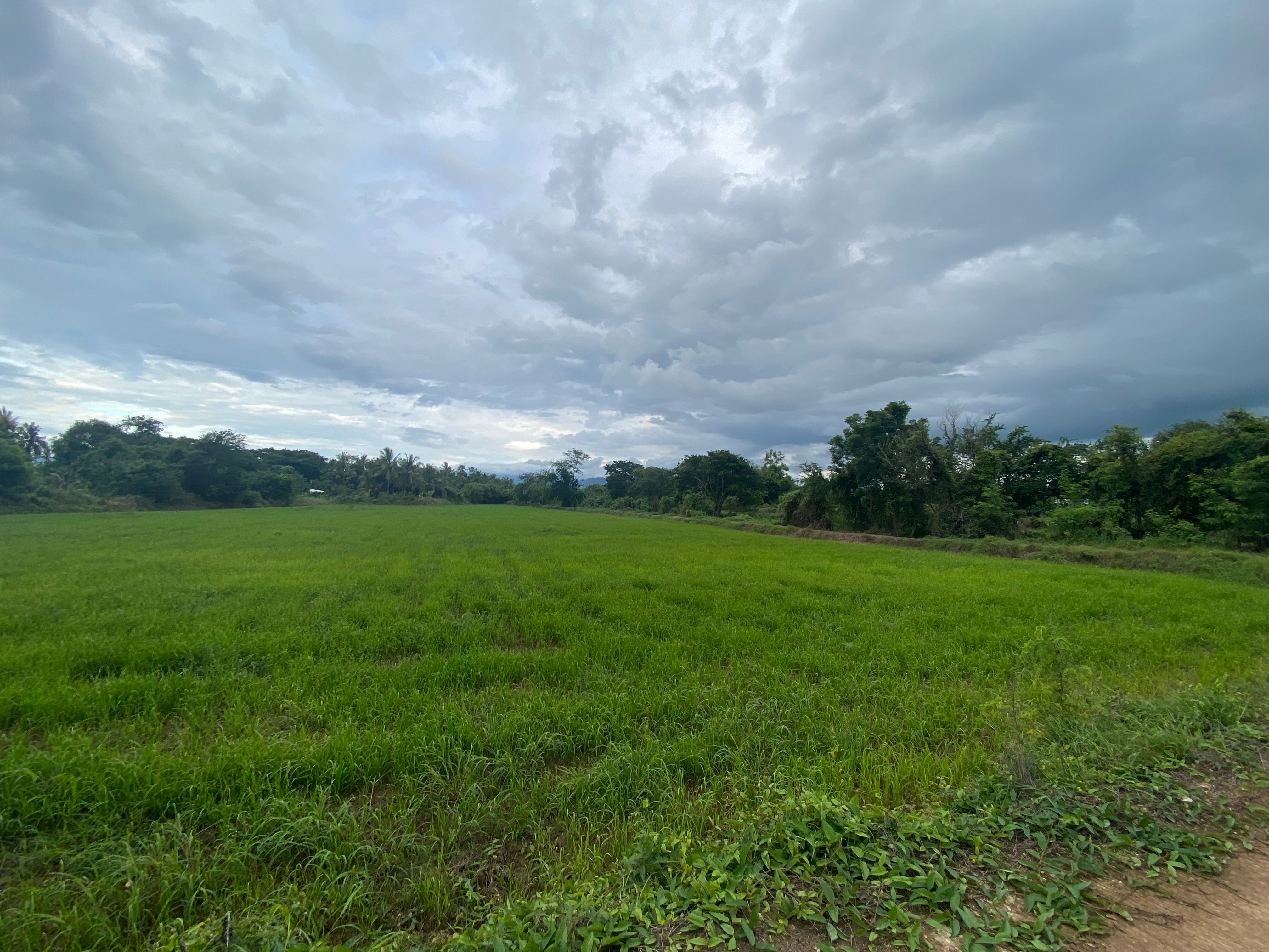ขายที่ดินเพชรบูรณ์ อำเภอเมือง  ทำเลดี