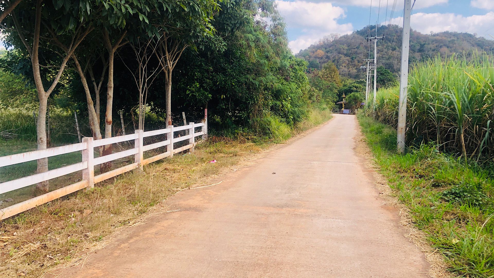 ขายที่ดินนครราชสีมา ปากช่อง เขาใหญ่