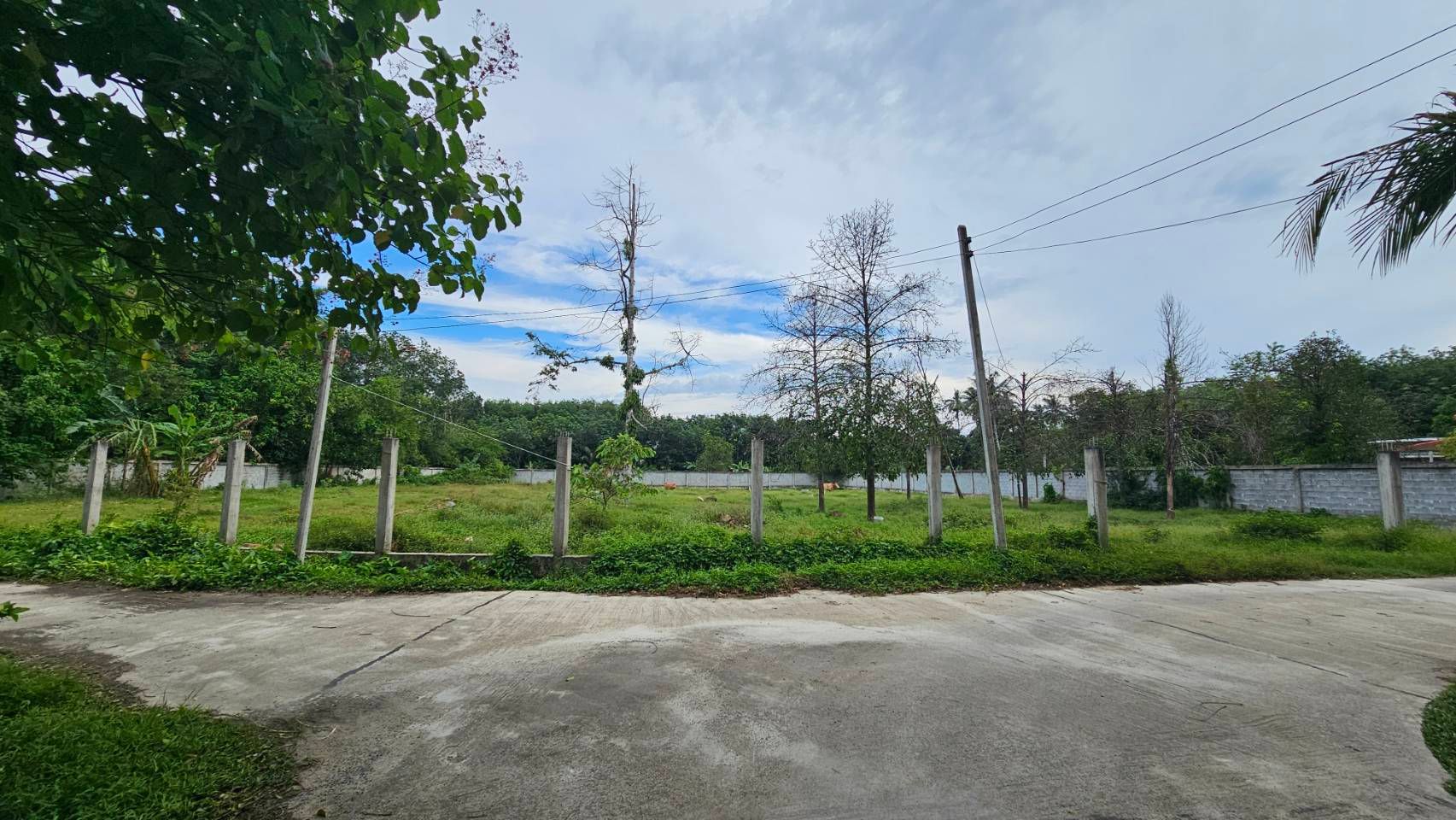 ขายที่ดินนครศรีธรรมราช 2 ไร่ (ขายร้อน-ขายราคาทุน) 